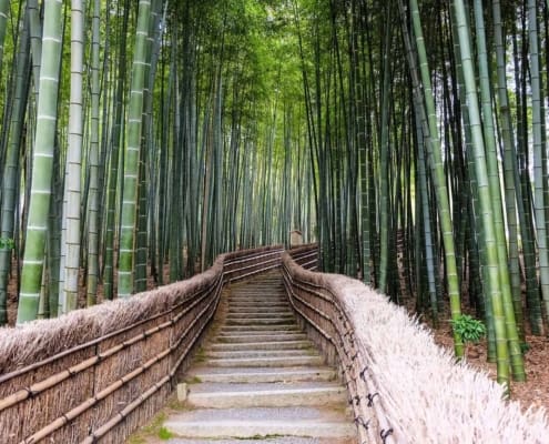Adashino Nenbutsuji Temple, Kyoto Adashino Nenbutsuji Temple, Kyoto