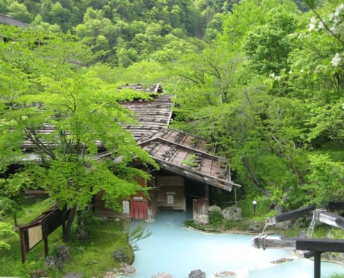 Mixed-Gender Awanoyu Ryokan, Nagano Mixed-Gender Awanoyu Ryokan, Nagano
