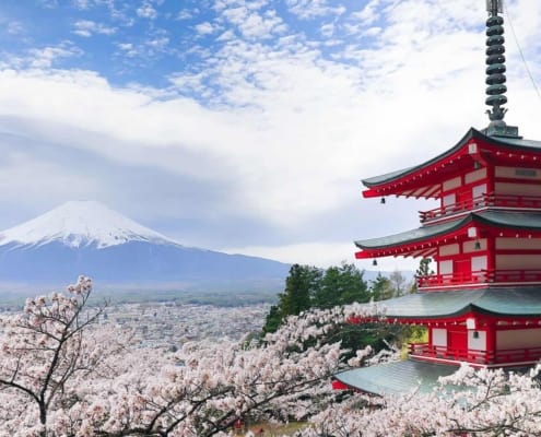 Chureito Pagoda, Yamanashi The best view of Mount Fuji Chureito Pagoda and sakura, Yamanashi