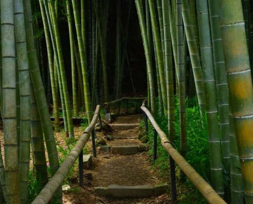 Eisho-ji Temple, Kamakura Eisho-ji Temple, Kamakura