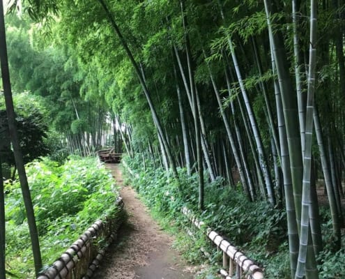 Higashikurumeshi Chikurin Park, Tokyo Higashikurumeshi Chikurin Park, Tokyo