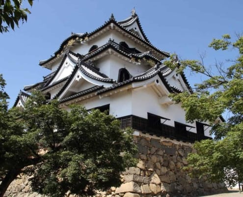 The hilltop Hikone castle The hilltop Hikone castle