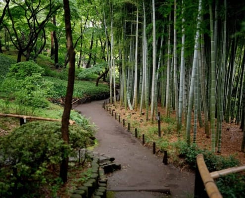 Tonogayato Garden, Tokyo Tonogayato Garden, Tokyo