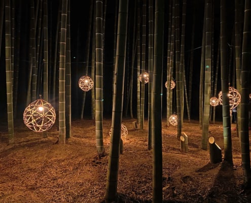 Four Seasons Bamboo Forest Wakayama Farm, Tochigi Four Seasons Bamboo Forest Wakayama Farm, Tochigi