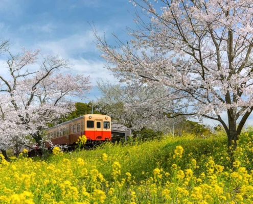 The Kominato railway The Kominato Tetsudo - Railway