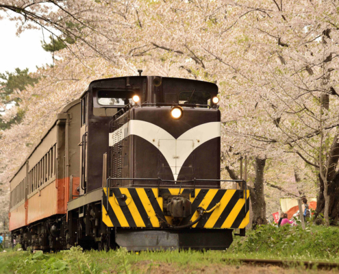 Tsugaru line, Aomori Tsugaru line and sakura, Aomori
