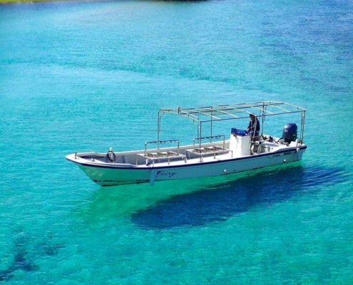 Paradise for divers, Kashiwajima Paradise for divers, Kashiwajima