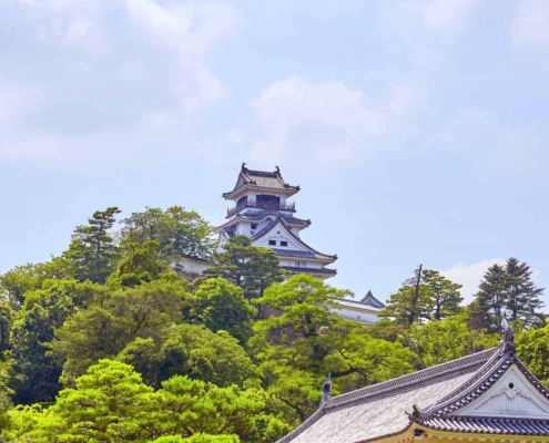 Kochi Castle Kochi Castle