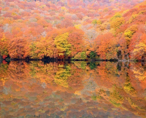The mystical Lake Towada The mystical Lake Towada
