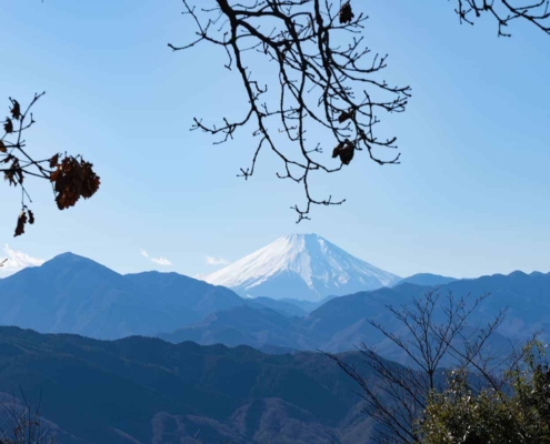 See Mt Fuji on Mount Takao See Mt Fuji on Mount Takao