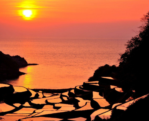 Hamanoura Senmaida, Saga Hamanoura Senmaida, Saga