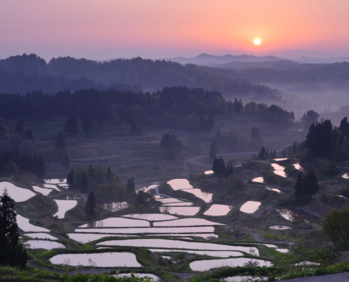 Hoshitoge Senmaida, Niigata Hoshitoge Senmaida, Niigata