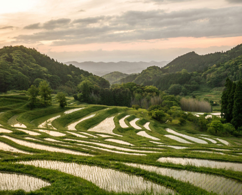 Oyama Senmaida, Chiba Oyama Senmaida, Chiba