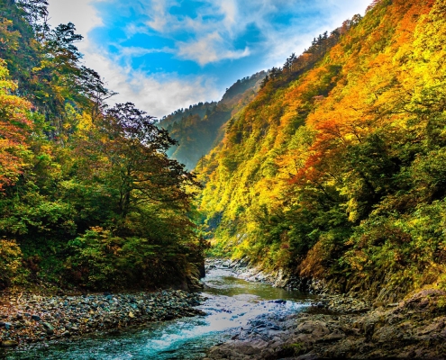 Kiyotsu Gorge, Niigata Kiyotsu Gorge, Niigata